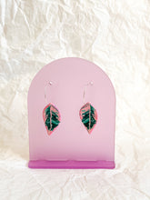 Load image into Gallery viewer, 'PINK PRINCESS' - Med Leaf